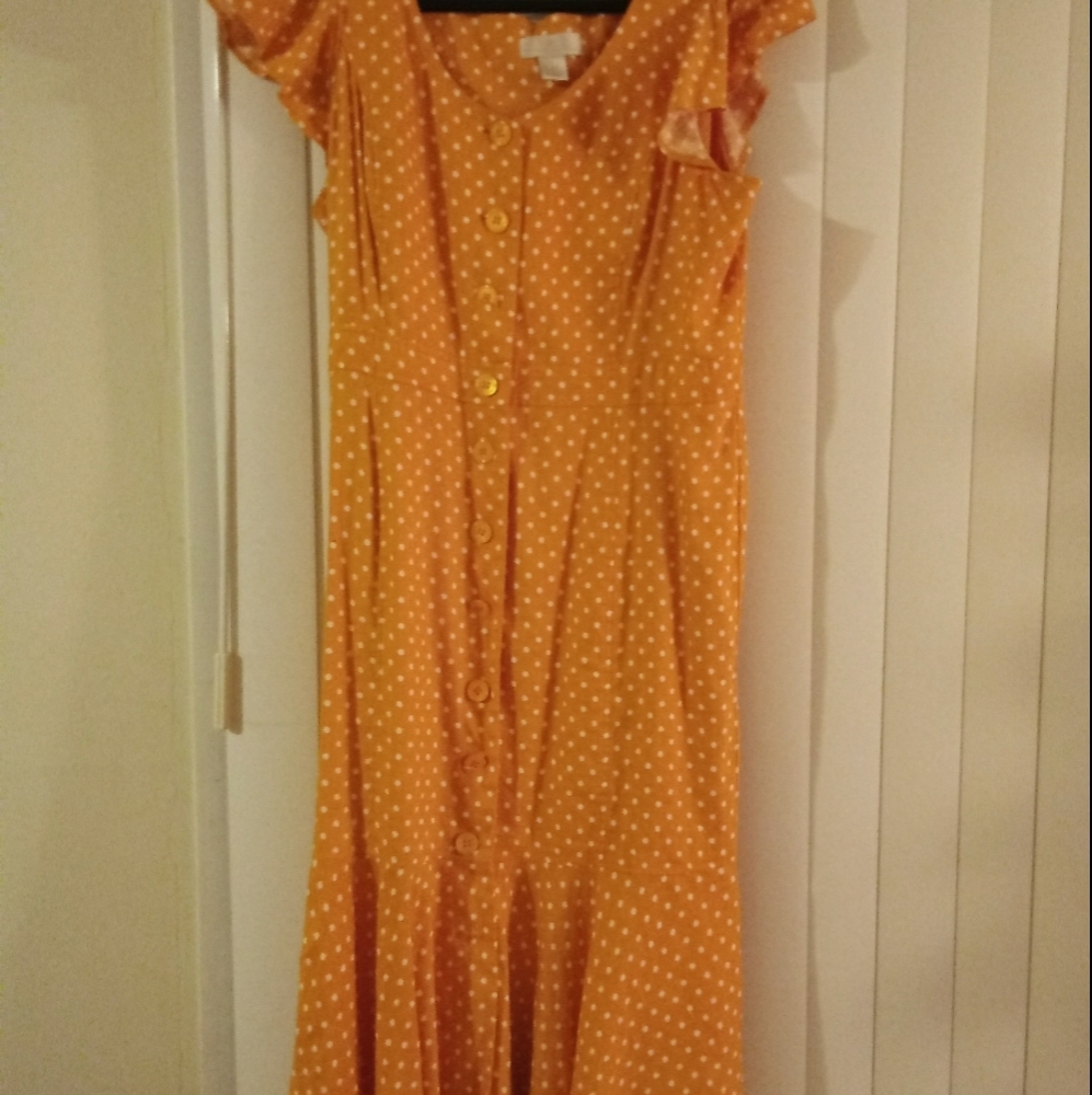 Rachel Parcell dress